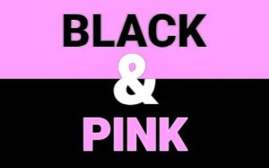 Black and Pink: Color Switch Challenge Online Puzzle Game